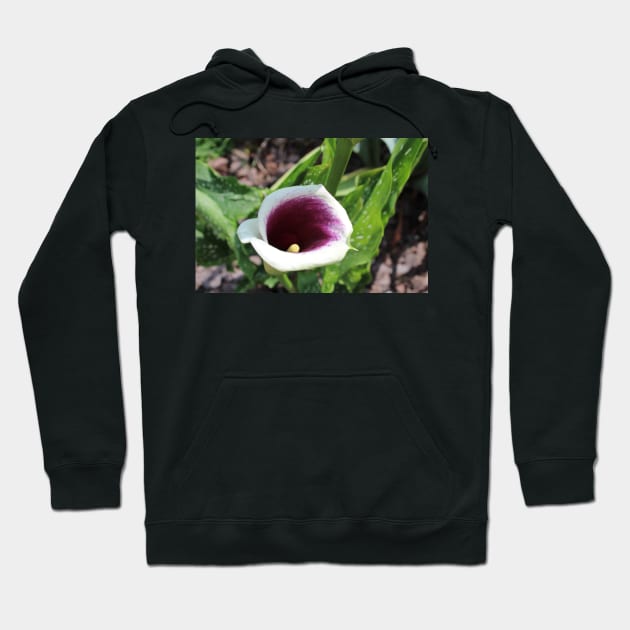 Calla Lily Tilted Photographic Image Hoodie by AustaArt